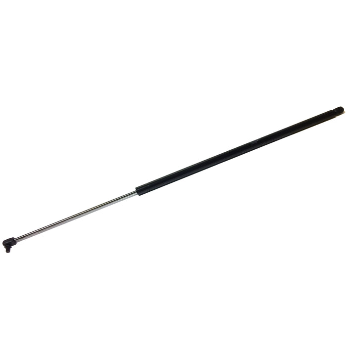 Heidelberg Gas Strut