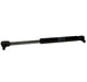 M-50 Heidelberg Guard Gas Strut SM74 PM74 00.580.4324